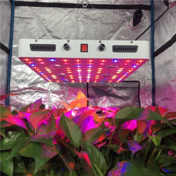Optical Lens X6 Cob Grow Light Manufacture and Optical Lens X6 Cob